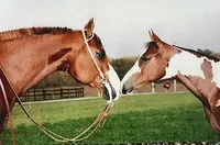 processed/6a640df4-86cc-421c-82d8-45214d8bf0eb/facility/490e4734-7130-4d4f-b582-81d5cd192c9a