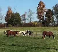 processed/6a640df4-86cc-421c-82d8-45214d8bf0eb/facility/6f61153f-8368-46d5-8f1a-4ab370153eb8