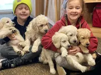 processed/6a640df4-86cc-421c-82d8-45214d8bf0eb/facility/aae8d5ec-9239-4bcf-9a89-f21442cac5c8