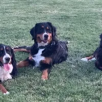 processed/6a640df4-86cc-421c-82d8-45214d8bf0eb/facility/fc12e6c6-7a57-43bf-a6ff-efd017c370f6