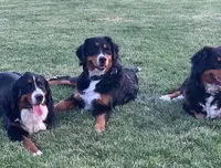 processed/6a640df4-86cc-421c-82d8-45214d8bf0eb/facility/fc12e6c6-7a57-43bf-a6ff-efd017c370f6