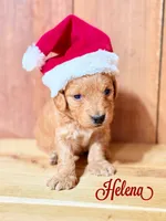 processed/6a640df4-86cc-421c-82d8-45214d8bf0eb/listing/2f86a6d7-813e-4378-b70d-b4aa449e5412/b83912bd-db22-4d0e-bcff-035a5cae0a9a