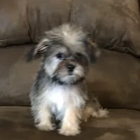 processed/6a69f776-74fe-4206-8cfe-c5679a20ec89/facility/59628202-1b52-48fc-8eb3-04956acd920b