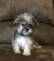 processed/6a69f776-74fe-4206-8cfe-c5679a20ec89/facility/59628202-1b52-48fc-8eb3-04956acd920b