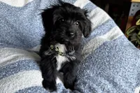 processed/6a69f776-74fe-4206-8cfe-c5679a20ec89/listing/058f01db-d1fc-45e0-87f4-533e4bf9d5a2/0b42073b-7fad-46e0-8d13-ed10b1afab10