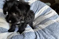 processed/6a69f776-74fe-4206-8cfe-c5679a20ec89/listing/058f01db-d1fc-45e0-87f4-533e4bf9d5a2/1fd920c4-2d7a-4822-acbb-dcf582746d74