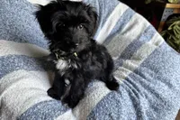 processed/6a69f776-74fe-4206-8cfe-c5679a20ec89/listing/058f01db-d1fc-45e0-87f4-533e4bf9d5a2/4d23db18-e7dc-46d5-b946-69c3482ddc13