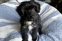 processed/6a69f776-74fe-4206-8cfe-c5679a20ec89/listing/058f01db-d1fc-45e0-87f4-533e4bf9d5a2/89de3cb1-9d6f-4fd8-8210-3ed286a284a4