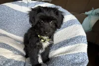 processed/6a69f776-74fe-4206-8cfe-c5679a20ec89/listing/058f01db-d1fc-45e0-87f4-533e4bf9d5a2/96dc495c-6cb3-4510-b922-07e10d831a7b