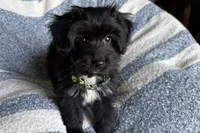 processed/6a69f776-74fe-4206-8cfe-c5679a20ec89/listing/058f01db-d1fc-45e0-87f4-533e4bf9d5a2/b8d91adf-b959-4552-9eaa-e04bdb2d7ff6