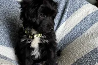 processed/6a69f776-74fe-4206-8cfe-c5679a20ec89/listing/058f01db-d1fc-45e0-87f4-533e4bf9d5a2/ce96891e-a5b7-4768-9e3e-2d527020cf78