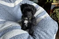 processed/6a69f776-74fe-4206-8cfe-c5679a20ec89/listing/058f01db-d1fc-45e0-87f4-533e4bf9d5a2/d5eb8d68-8a2c-4b9a-8ed4-3cd5be079ac2