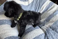 processed/6a69f776-74fe-4206-8cfe-c5679a20ec89/listing/058f01db-d1fc-45e0-87f4-533e4bf9d5a2/dfd1b760-633b-4e02-aada-831b548353c0