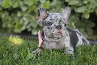 processed/6a6ffb69-a15d-4a58-8984-312774529bd1/facility/08e9f700-c36b-4074-b163-22aab3a9c856