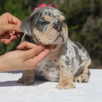 processed/6a6ffb69-a15d-4a58-8984-312774529bd1/facility/1a1d6ce7-908c-4965-bc89-db2f6edc34e4