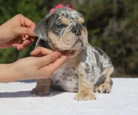 processed/6a6ffb69-a15d-4a58-8984-312774529bd1/facility/1a1d6ce7-908c-4965-bc89-db2f6edc34e4