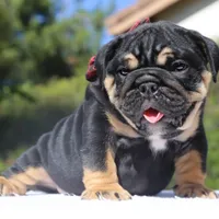 processed/6a6ffb69-a15d-4a58-8984-312774529bd1/facility/53788d84-f831-4d1f-b0fe-524303c449a9