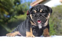 processed/6a6ffb69-a15d-4a58-8984-312774529bd1/facility/53788d84-f831-4d1f-b0fe-524303c449a9