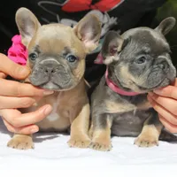 processed/6a6ffb69-a15d-4a58-8984-312774529bd1/facility/5c74c107-7cbd-4a43-b87a-0feb35fae670