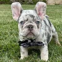 processed/6a6ffb69-a15d-4a58-8984-312774529bd1/facility/a37becf0-e673-4c71-afac-5fa455d732cb