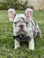 processed/6a6ffb69-a15d-4a58-8984-312774529bd1/facility/a37becf0-e673-4c71-afac-5fa455d732cb