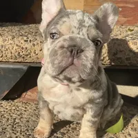 processed/6a6ffb69-a15d-4a58-8984-312774529bd1/facility/c51a5687-6bb6-4269-bf91-0deb83bc2677