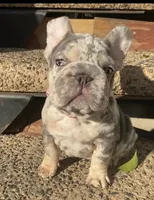 processed/6a6ffb69-a15d-4a58-8984-312774529bd1/facility/c51a5687-6bb6-4269-bf91-0deb83bc2677