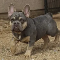 processed/6a6ffb69-a15d-4a58-8984-312774529bd1/facility/d971ca58-6e2a-4635-9dee-a55140f16c64