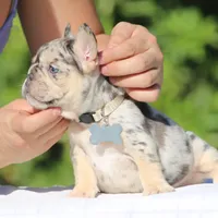 processed/6a6ffb69-a15d-4a58-8984-312774529bd1/facility/db486378-85b9-4693-985f-664430c6b88e