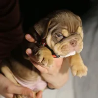 processed/6a6ffb69-a15d-4a58-8984-312774529bd1/facility/e5e45763-34d9-438a-b78a-63a4d75d56ba