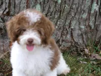 processed/6a76686a-80f8-4273-95d1-b045ba817db6/facility/a4bdced9-02eb-461a-be34-81cfbec6f405