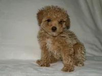 processed/6a76686a-80f8-4273-95d1-b045ba817db6/facility/a6e784ad-be0a-4acd-b17d-05bd04108a5d