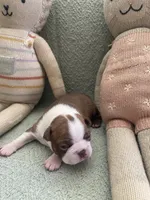 processed/6a76e932-728f-4e79-893c-60f91ad507f1/listing/e9627f22-771a-4c84-823e-349d8cadf3b7/0942d629-d29c-49d3-99c7-afe3ecd1d651