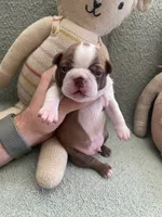 processed/6a76e932-728f-4e79-893c-60f91ad507f1/listing/e9627f22-771a-4c84-823e-349d8cadf3b7/23559cde-901b-4146-888b-bbf4beb78cda