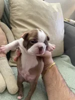 processed/6a76e932-728f-4e79-893c-60f91ad507f1/listing/e9627f22-771a-4c84-823e-349d8cadf3b7/2a38961e-c4af-4d7a-a08e-dec9f970c509