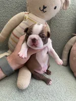 processed/6a76e932-728f-4e79-893c-60f91ad507f1/listing/e9627f22-771a-4c84-823e-349d8cadf3b7/632e4b6a-f13b-49a1-9fca-3cd30f30c77a