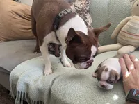 processed/6a76e932-728f-4e79-893c-60f91ad507f1/listing/e9627f22-771a-4c84-823e-349d8cadf3b7/872ba519-dfb0-49c7-9b72-f484d76c661d