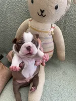 processed/6a76e932-728f-4e79-893c-60f91ad507f1/listing/e9627f22-771a-4c84-823e-349d8cadf3b7/97bbc266-f0d9-4e91-9aa6-2572d8429593