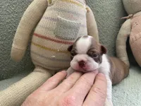 processed/6a76e932-728f-4e79-893c-60f91ad507f1/listing/e9627f22-771a-4c84-823e-349d8cadf3b7/d126d6b4-3dec-4607-aa0b-33f68504e75c