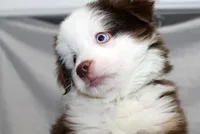 processed/6a7777c7-cd6f-4d47-ab00-db2ae0d1a040/facility/0f8a7a92-e112-4895-b4c3-0f30911ec0f1