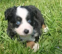 processed/6a7777c7-cd6f-4d47-ab00-db2ae0d1a040/facility/262945f3-e75d-41de-b45c-5dd604c3b33b