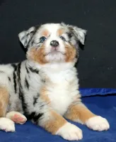 processed/6a7777c7-cd6f-4d47-ab00-db2ae0d1a040/facility/40507912-3526-4c78-9480-3b670fb70ce3