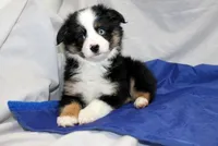 processed/6a7777c7-cd6f-4d47-ab00-db2ae0d1a040/facility/59577fd1-0649-4ece-ad60-b1b81a2160b1