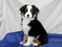 processed/6a7777c7-cd6f-4d47-ab00-db2ae0d1a040/facility/7f291b41-faac-48ee-84e9-d7d755241c5d