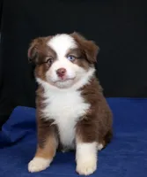 processed/6a7777c7-cd6f-4d47-ab00-db2ae0d1a040/facility/8879080d-317e-417f-b6e3-68731d93fa66