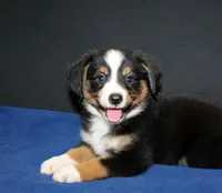 processed/6a7777c7-cd6f-4d47-ab00-db2ae0d1a040/facility/9438bb4d-de56-4ede-89d7-ea3a6965738d