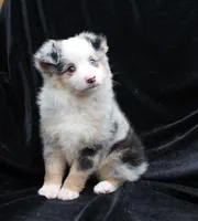 processed/6a7777c7-cd6f-4d47-ab00-db2ae0d1a040/facility/a7d6a1a5-0f7f-4bc0-9aa2-f54b971dbefb