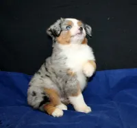 processed/6a7777c7-cd6f-4d47-ab00-db2ae0d1a040/facility/ed2ae315-5fe7-4a47-becd-2b5cb329a676