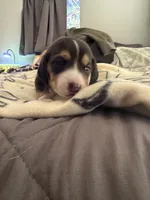 processed/6a80bf87-c5ba-45ab-a17d-706299f9d02f/listing/1cf6ec3d-4ac5-4552-822f-e57127b14e99/3a8aea93-c267-4654-b081-8455c5160bb8