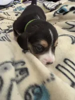 processed/6a80bf87-c5ba-45ab-a17d-706299f9d02f/listing/1cf6ec3d-4ac5-4552-822f-e57127b14e99/ecaba95c-1f52-45df-92f0-b80ae27148c2